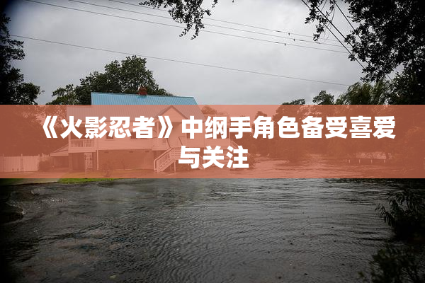 《火影忍者》中纲手角色备受喜爱与关注