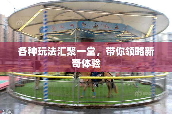 各种玩法汇聚一堂，带你领略新奇体验
