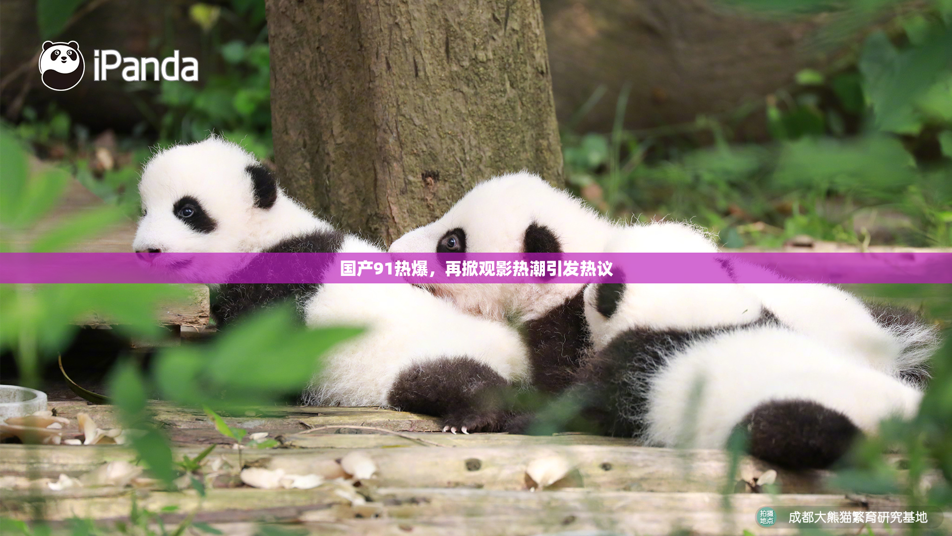 国产91热爆，再掀观影热潮引发热议