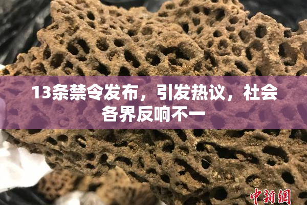 13条禁令发布，引发热议，社会各界反响不一