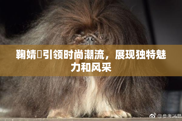 鞠婧祎引领时尚潮流，展现独特魅力和风采