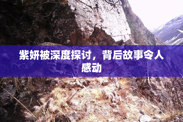 紫妍被深度探讨，背后故事令人感动