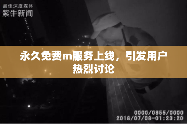 永久免费m服务上线，引发用户热烈讨论