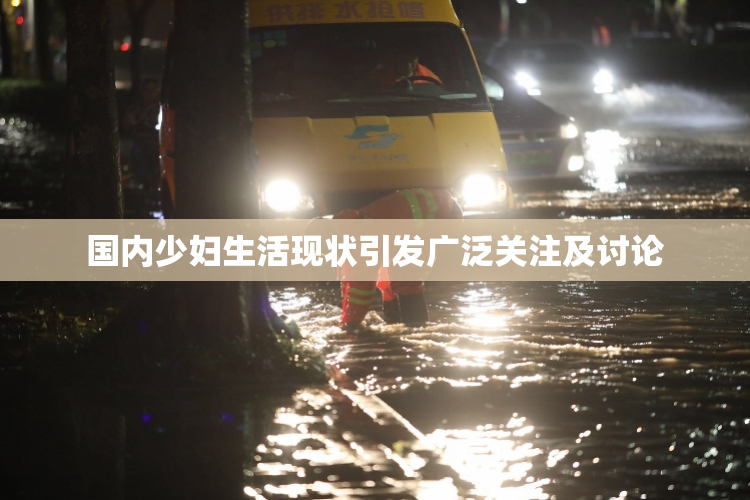 国内少妇生活现状引发广泛关注及讨论