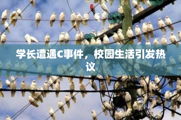 学长遭遇C事件，校园生活引发热议