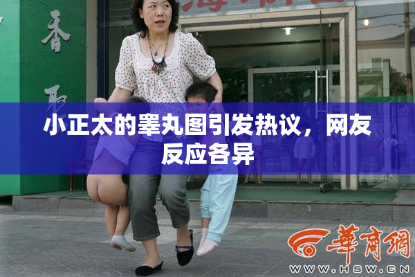小正太的睾丸图引发热议，网友反应各异