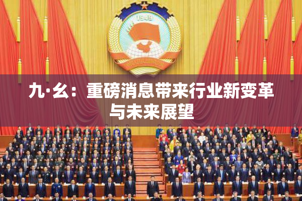 九·幺：重磅消息带来行业新变革与未来展望