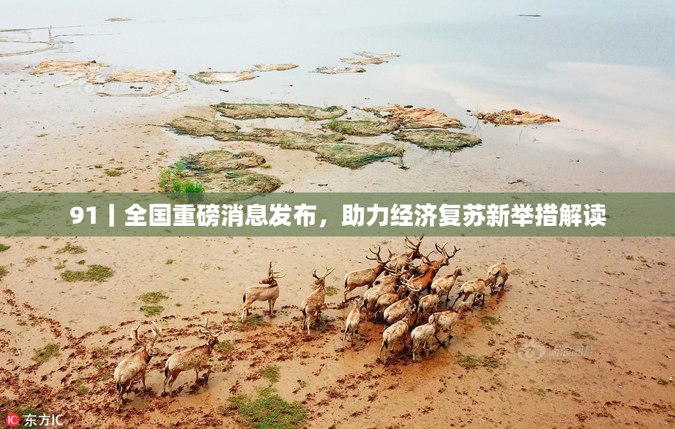 91丨全国重磅消息发布，助力经济复苏新举措解读