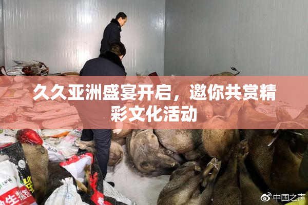 久久亚洲盛宴开启，邀你共赏精彩文化活动