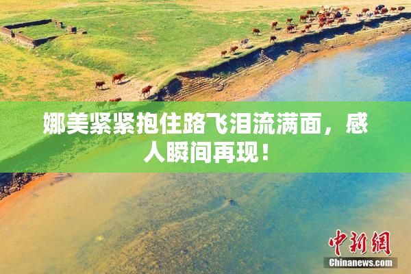 娜美紧紧抱住路飞泪流满面，感人瞬间再现！