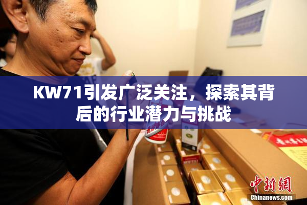 KW71引发广泛关注，探索其背后的行业潜力与挑战
