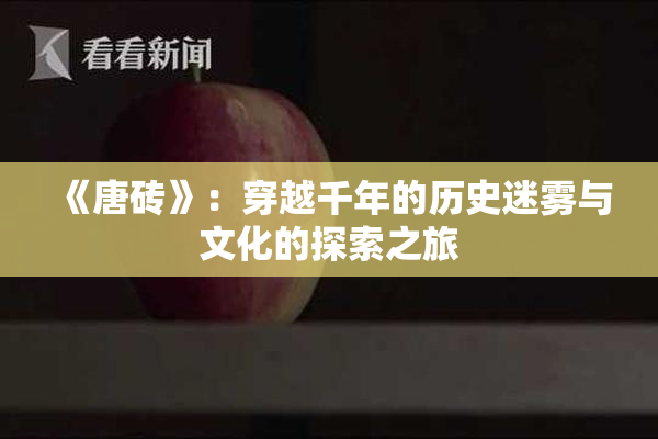 《唐砖》：穿越千年的历史迷雾与文化的探索之旅
