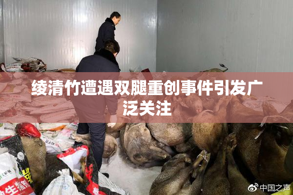 绫清竹遭遇双腿重创事件引发广泛关注