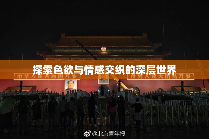 探索色欲与情感交织的深层世界