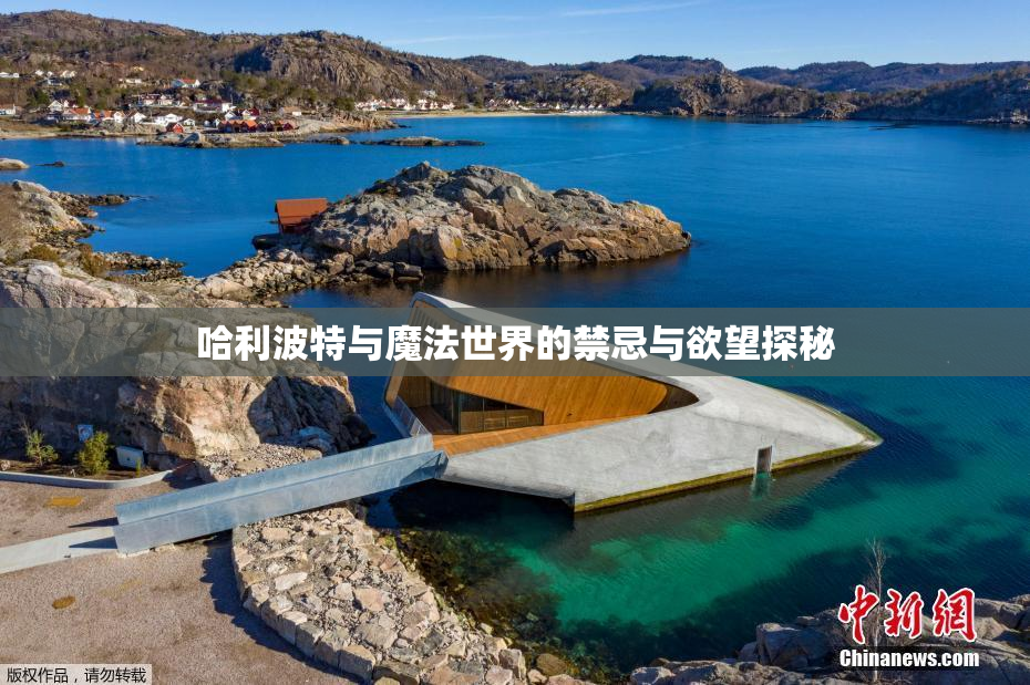 哈利波特与魔法世界的禁忌与欲望探秘