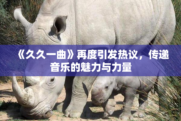 《久久一曲》再度引发热议，传递音乐的魅力与力量