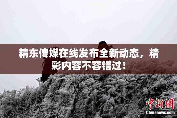 精东传媒在线发布全新动态，精彩内容不容错过！