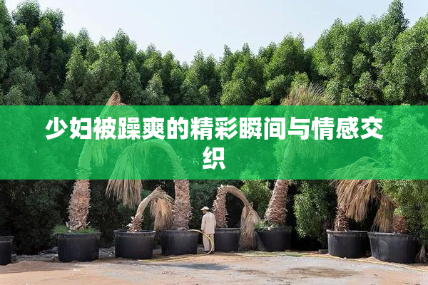少妇被躁爽的精彩瞬间与情感交织