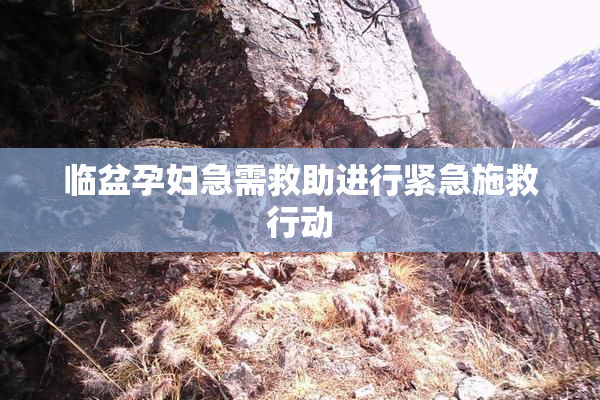 临盆孕妇急需救助进行紧急施救行动