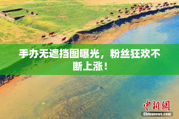 手办无遮挡图曝光，粉丝狂欢不断上涨！