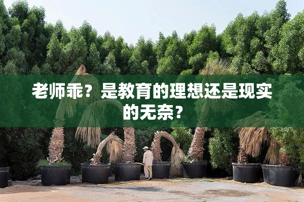 老师乖？是教育的理想还是现实的无奈？