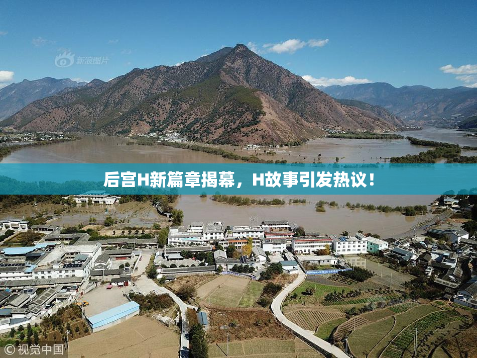 后宫H新篇章揭幕，H故事引发热议！