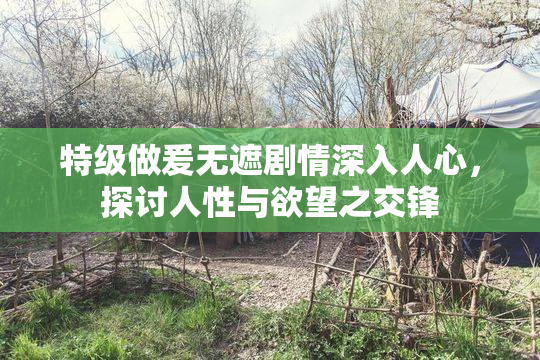 特级做爰无遮剧情深入人心，探讨人性与欲望之交锋