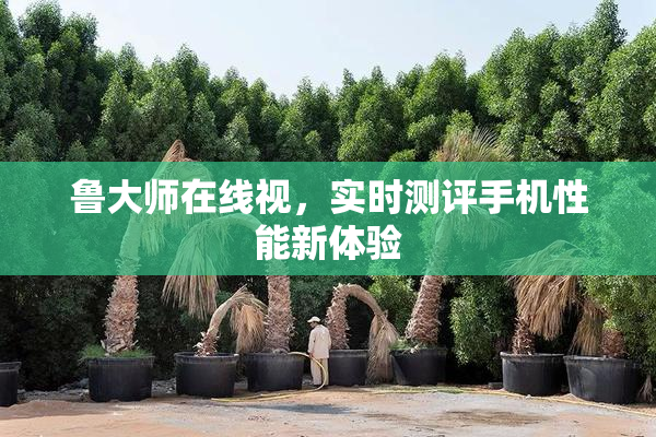 鲁大师在线视，实时测评手机性能新体验