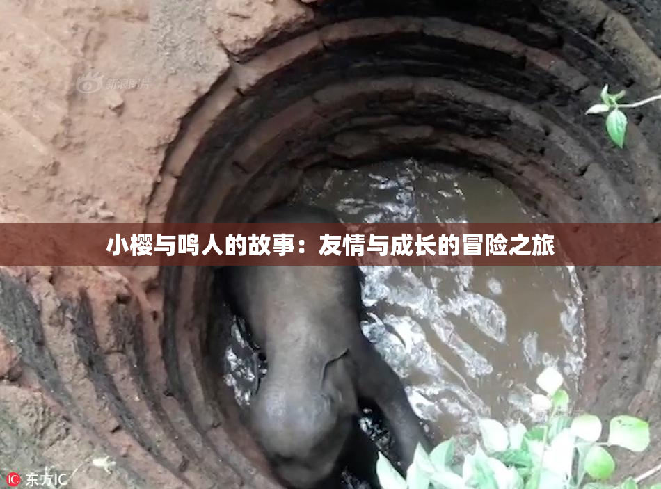 小樱与鸣人的故事：友情与成长的冒险之旅