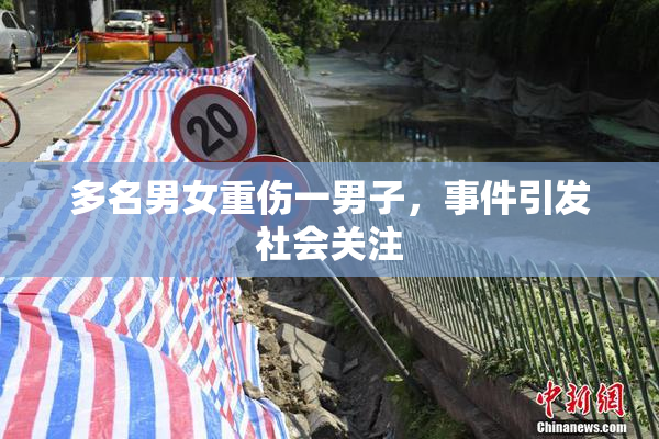 多名男女重伤一男子，事件引发社会关注