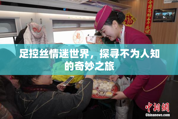 足控丝情迷世界，探寻不为人知的奇妙之旅