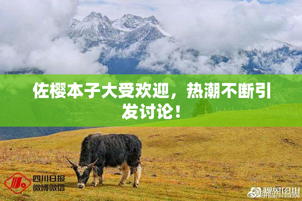 佐樱本子大受欢迎，热潮不断引发讨论！