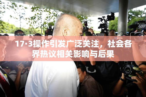 17·3操作引发广泛关注，社会各界热议相关影响与后果