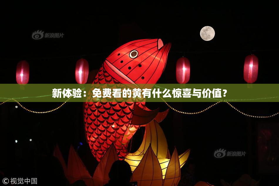 新体验：免费看的黄有什么惊喜与价值？