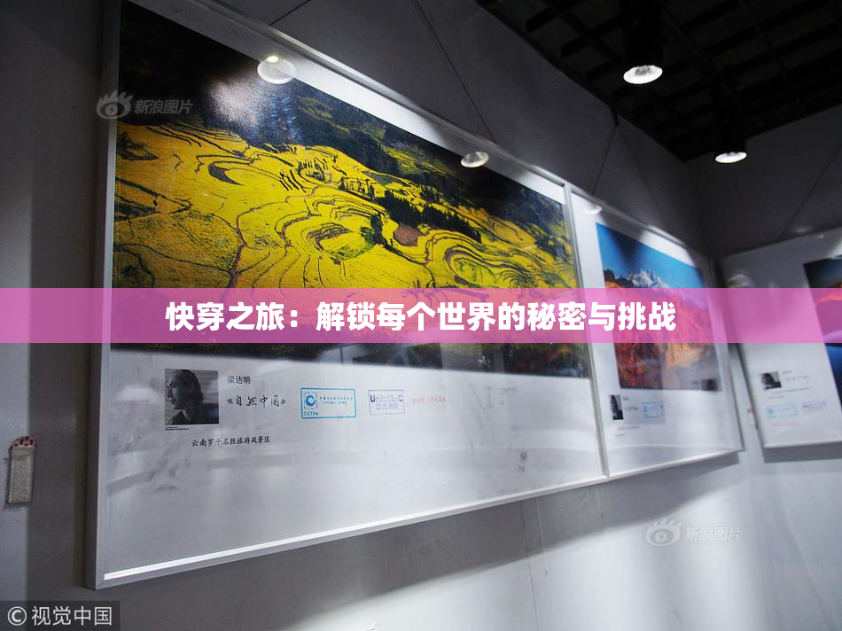快穿之旅：解锁每个世界的秘密与挑战