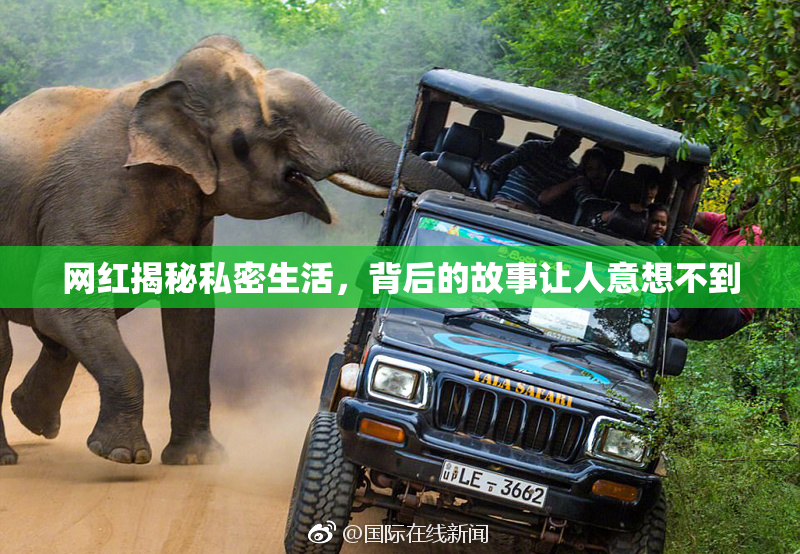网红揭秘私密生活，背后的故事让人意想不到