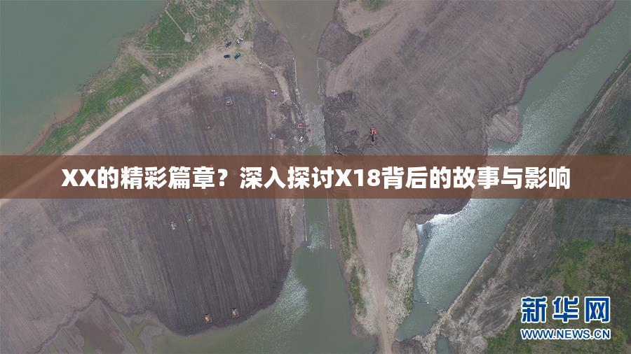 XX的精彩篇章？深入探讨X18背后的故事与影响