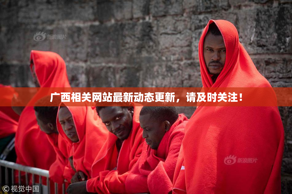 广西相关网站最新动态更新，请及时关注！