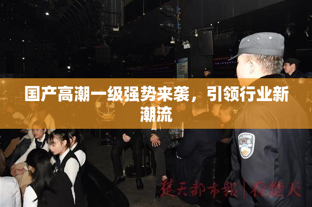 国产高潮一级强势来袭，引领行业新潮流