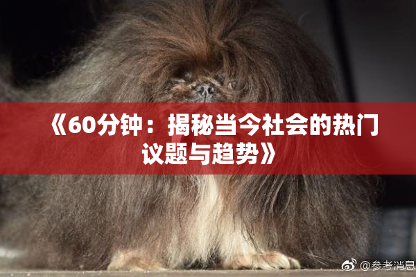 《60分钟：揭秘当今社会的热门议题与趋势》