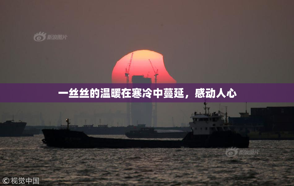 一丝丝的温暖在寒冷中蔓延，感动人心