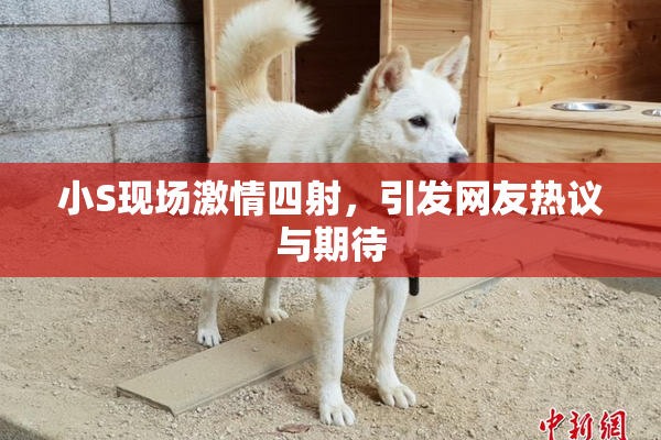 小S现场激情四射，引发网友热议与期待