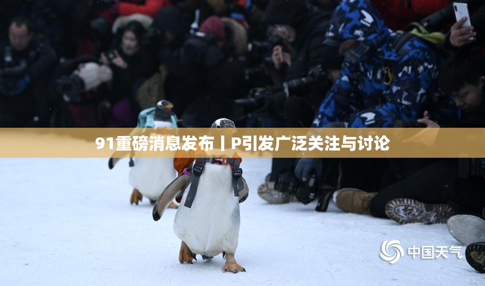 91重磅消息发布丨P引发广泛关注与讨论