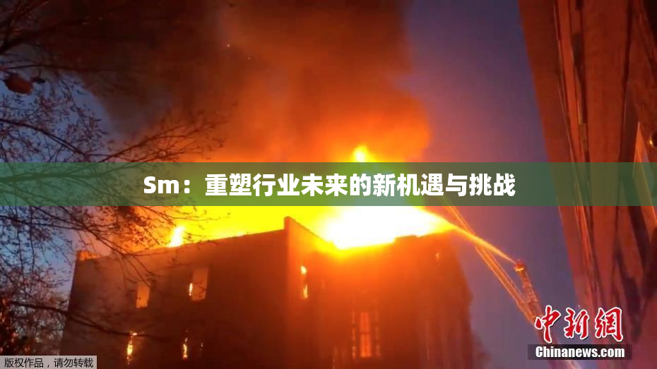 Sm：重塑行业未来的新机遇与挑战