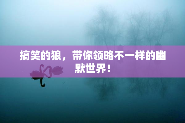 搞笑的狼，带你领略不一样的幽默世界！