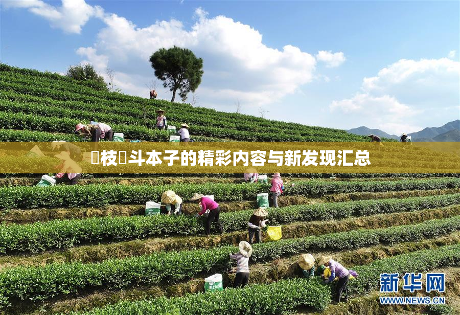 狛枝凪斗本子的精彩内容与新发现汇总