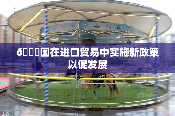 🔞国在进口贸易中实施新政策以促发展