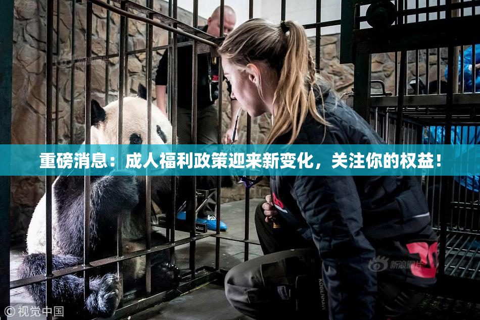 重磅消息：成人福利政策迎来新变化，关注你的权益！