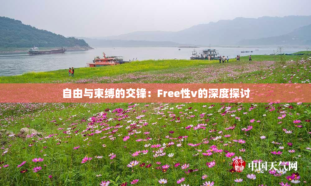 自由与束缚的交锋：Free性v的深度探讨