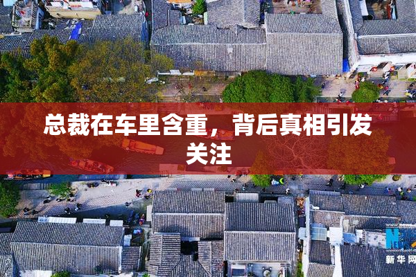 总裁在车里含重，背后真相引发关注